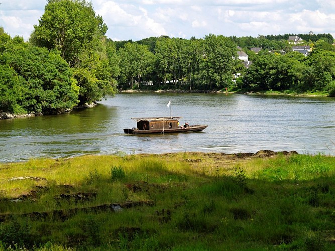 Chalonnes sur Loire - point de convergence entre le Layon et la Loire