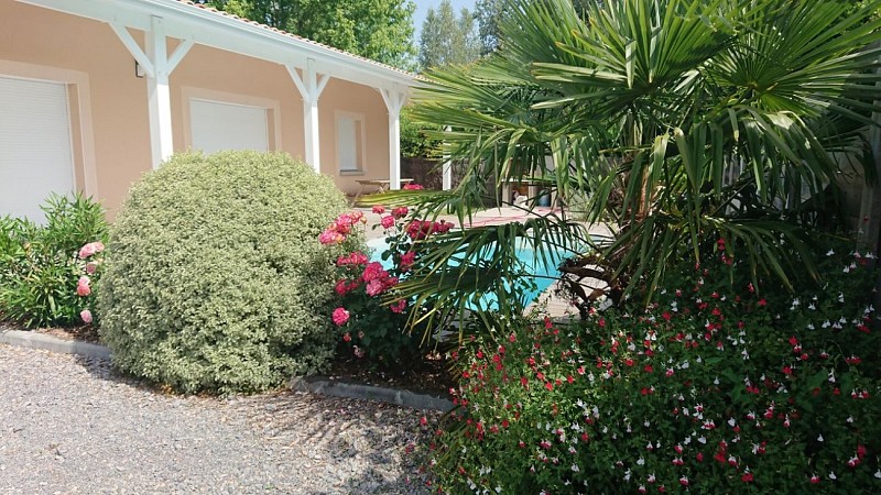 location-avec-piscine-le-porge-medoc - Francis Becerro