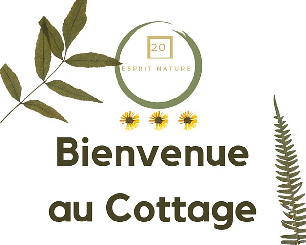 5A83D60D-2579-4272-A334-6FAB8A6D49DC