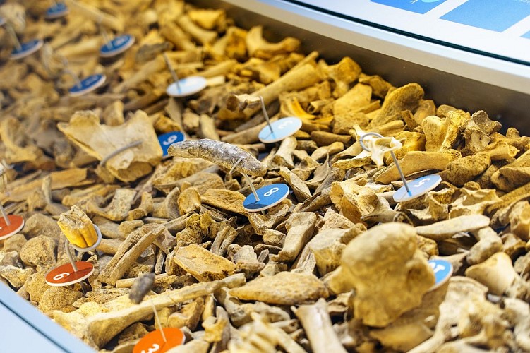 MtND_Andenne_01062021_058