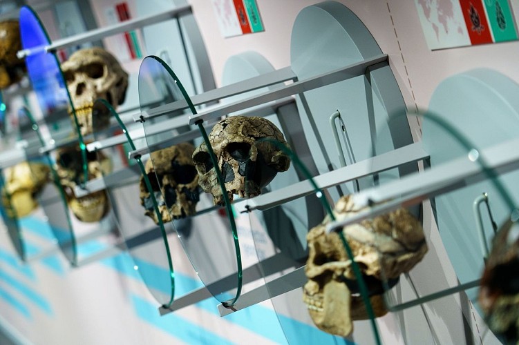 MtND_Andenne_01062021_052