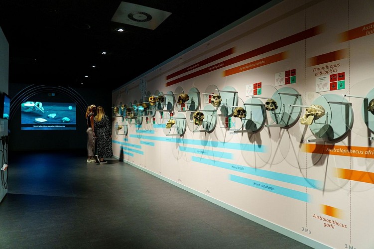 MtND_Andenne_01062021_051