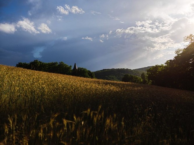 10-07-2022_3830-copie-768x576