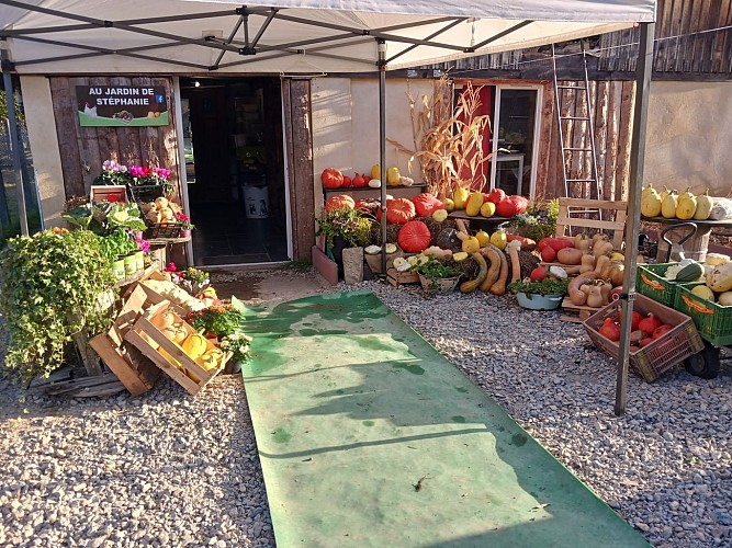 391661625_6694703653900403_8285064845914086284_n