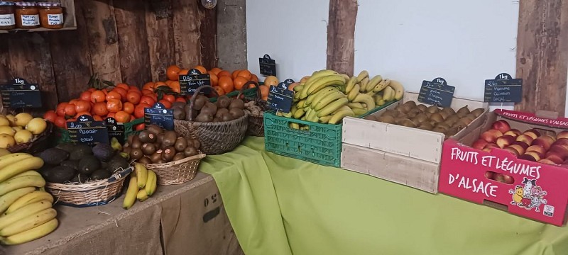 jardins de stéphaniee