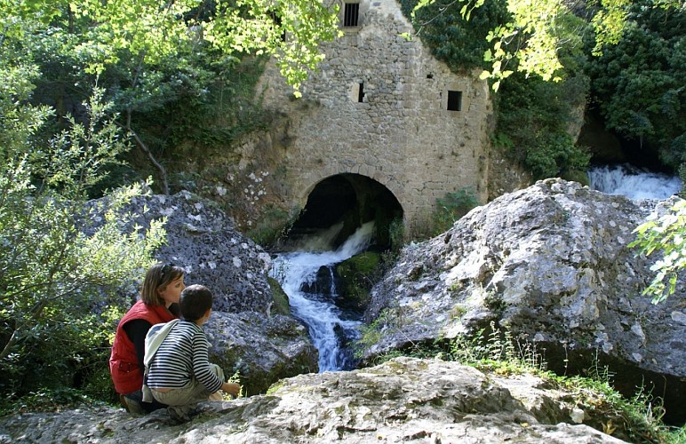 Les Moulins de la Foux et Résurgence de la Vis