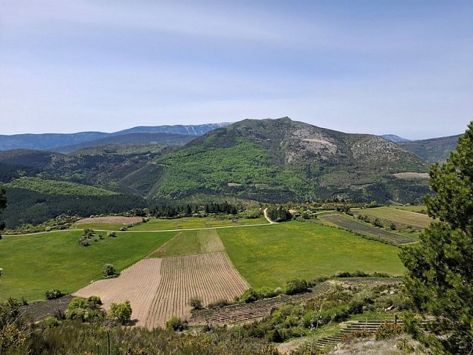 La Montagne de Banne depuis la Montagne des Tunes