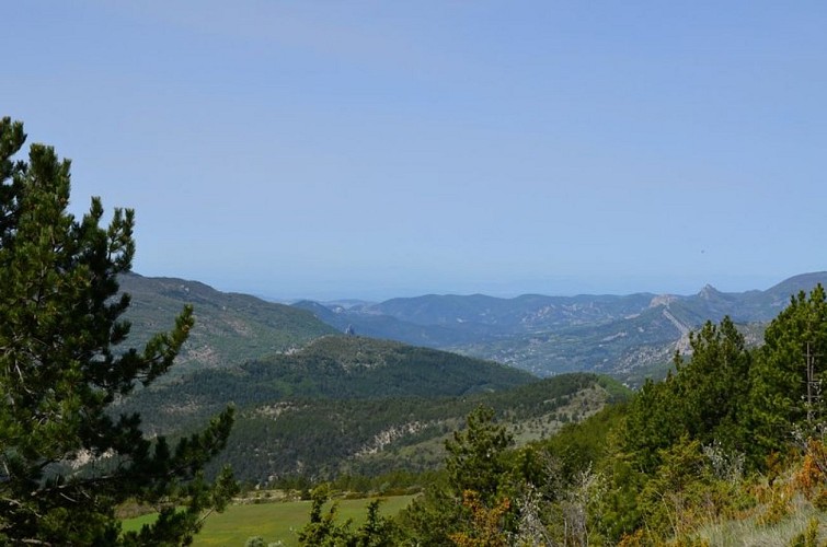 Vallée de l'Ouvèze avec Buis-les-Baronnies et le Rocher de Savouillon