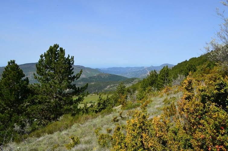 Vallée de l'Ouvèze depuis la Montagne des Tunes