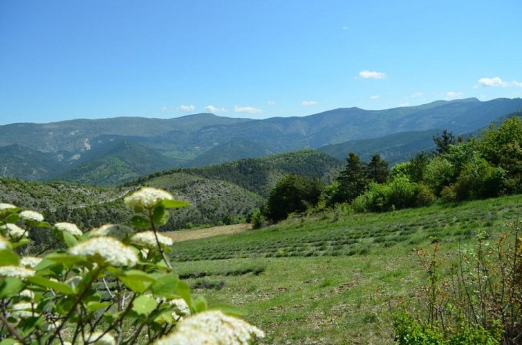 Point de vue du Pas de Bouvrège
