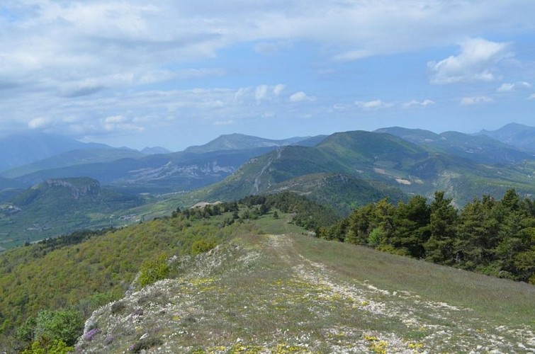 Sur les crêtes de la Montagne de Chamouse