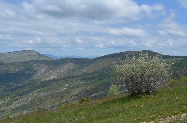 Relief de synclinal des crêtes de la Montagne de Chamouse