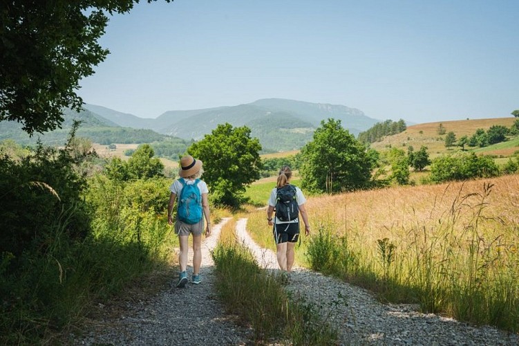 Prairies à proximité de Verclause