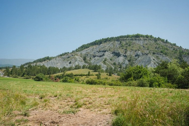 Marne de Sainte-Jaume