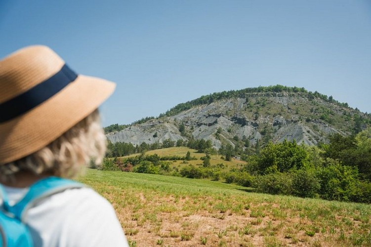 Marne de Sainte-Jaume à proximité de Verclause
