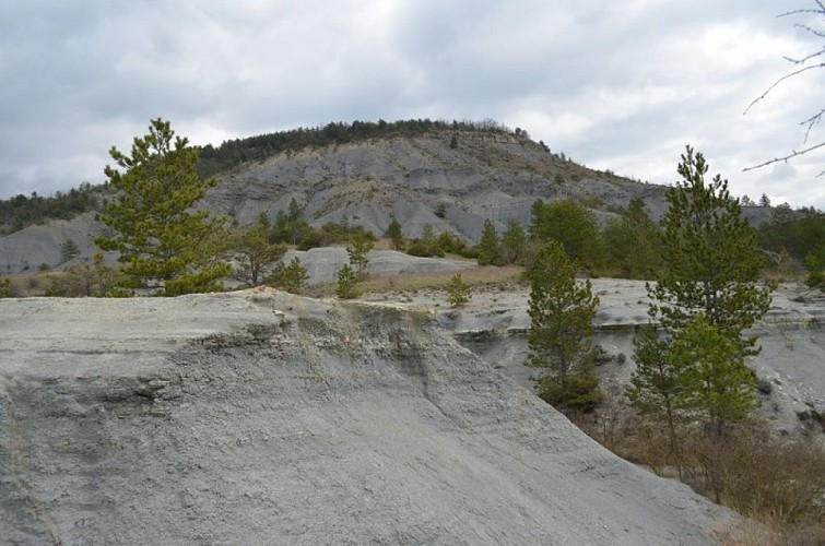 La Montagne de Sainte-Jaume