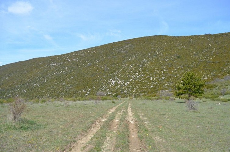 La Montagne de Raton