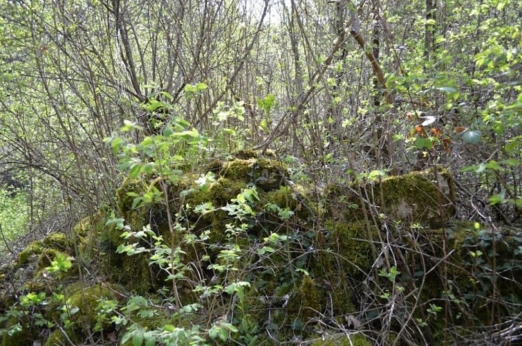 Ruines de l'ancien village de Clermont