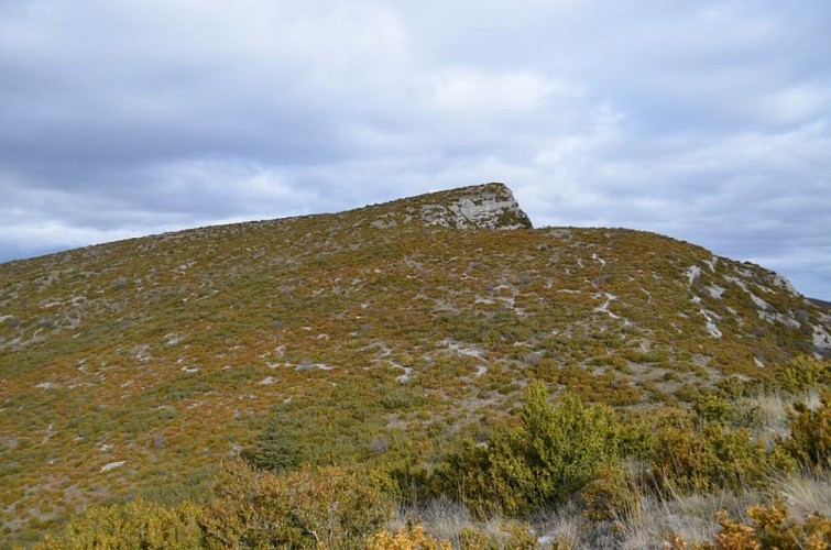 Crête de la Montagne d'Angèle © Pauline Amberg - PNR des Baronnies Provençales