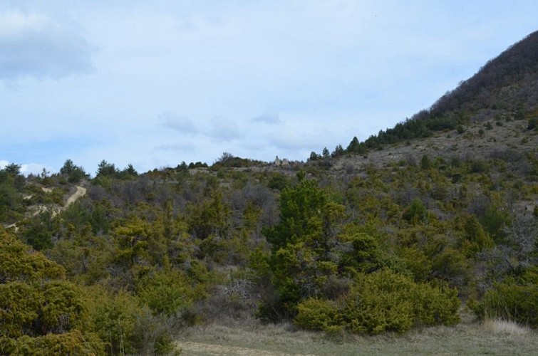 Ancienne bergerie au col de Lincueil