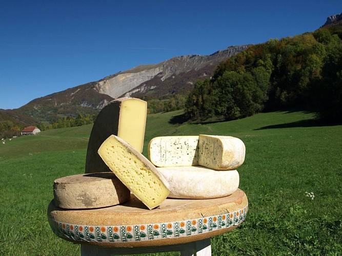 Fromagerie de l'Abbaye - Galerie de visite fermée en raison de travaux