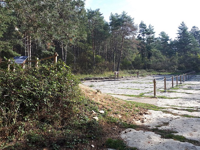 Les empreintes de dinosaures de Villette