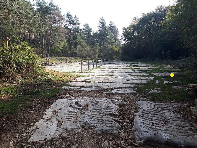 Les empreintes de dinosaures de Villette