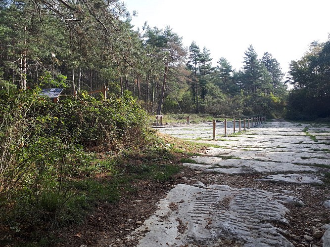 Les empreintes de dinosaures de Villette