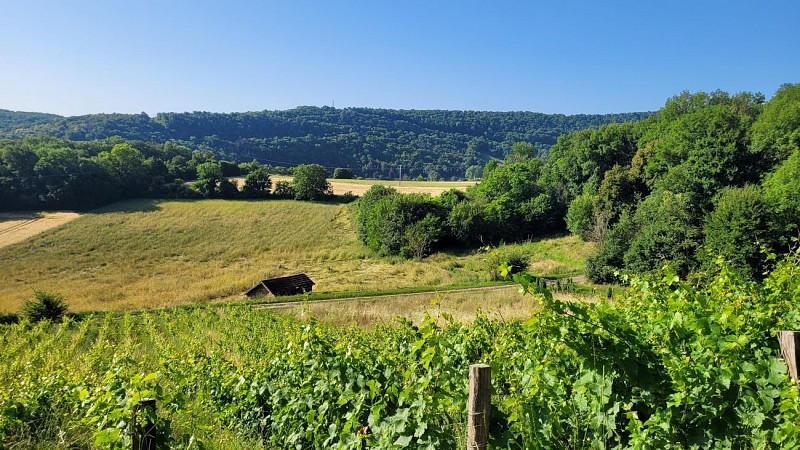 Point de vue