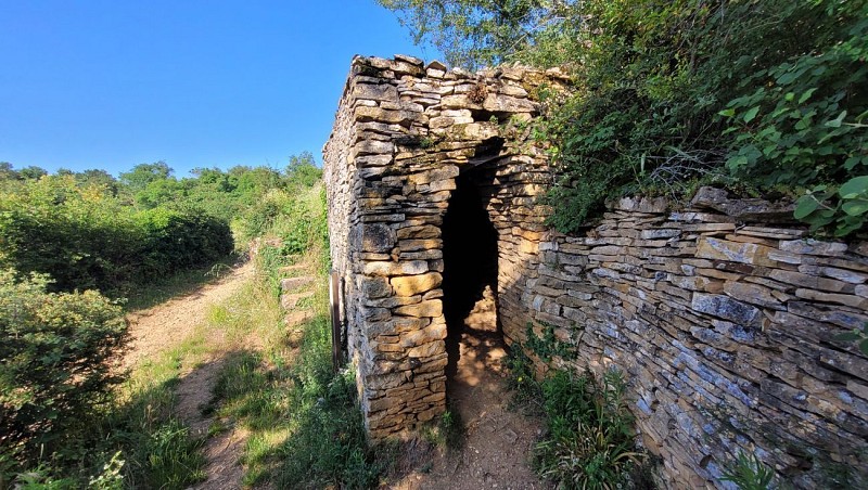 Caborne