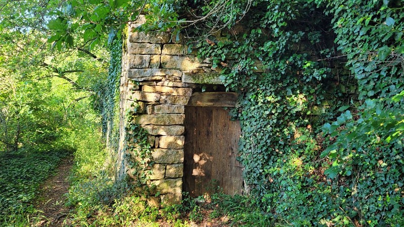 Caborne