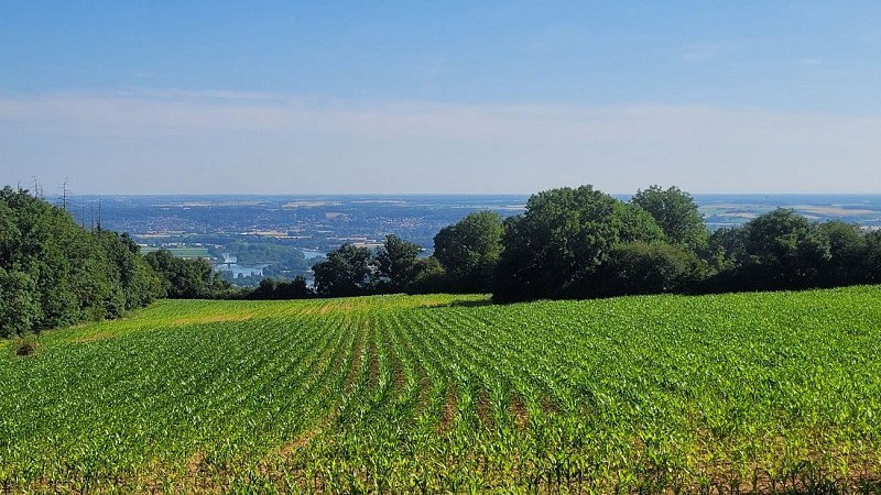 Point de vue