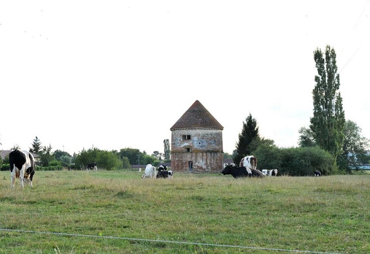 Pigeonnier de l'ancien château