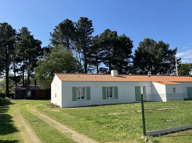 MAIS 107 + MAIS 1706 - 085MS003002