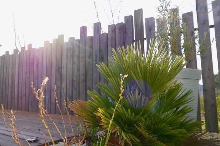 Mais 00027 - 085ms001214