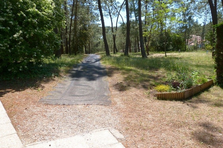 085MS002001 - MAIS 604