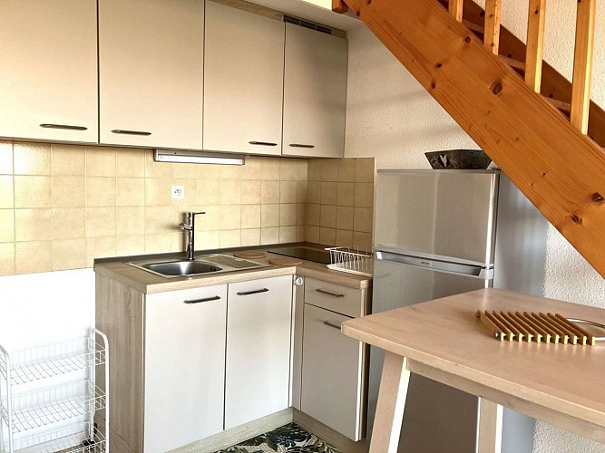 AU GRÉ DU VENT - APPA 20038 - 085MS003008