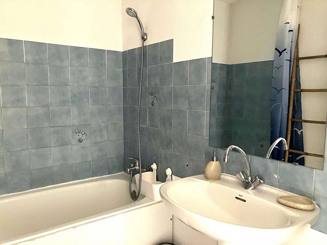 AU GRÉ DU VENT - APPA 20038 - 085MS003008