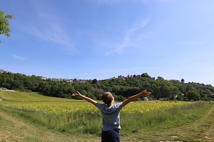 Cuve Saint-Vincent à Laon II
