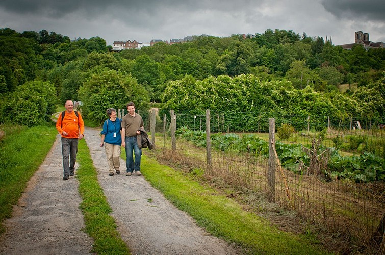Cuve Saint-Vincent à Laon