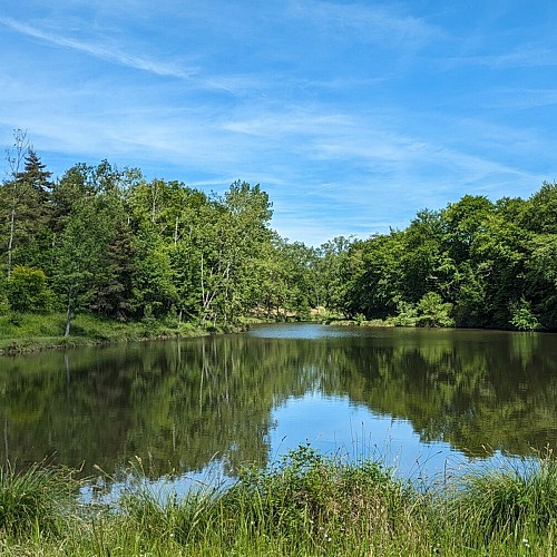 Lac de Morlhon Le Haut