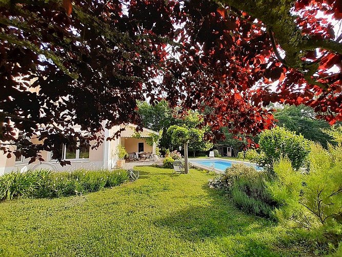 Jardin, piscine et terrasse