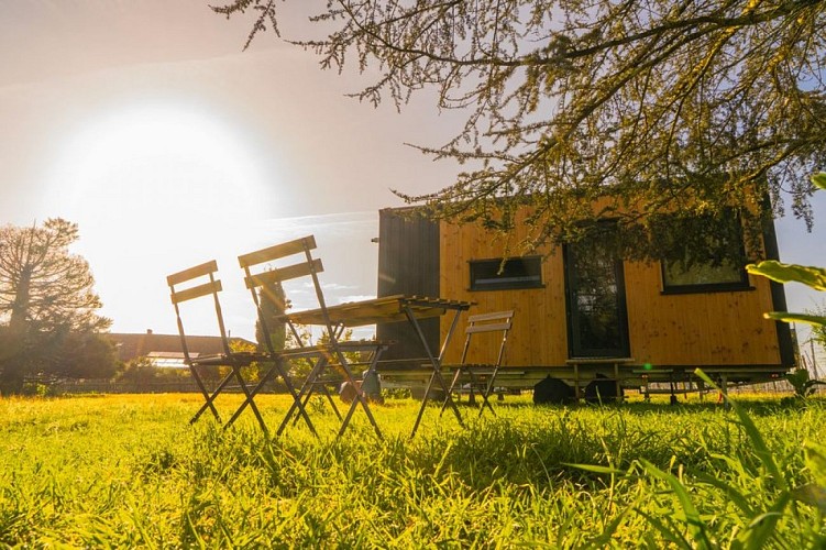 GBX8HFWLAIcvLVQ0qLY3sZgtgt5pwDWgUiv1Xzan