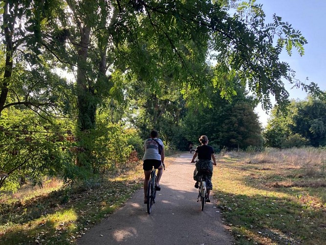 WhatsApp Image 2025-08-09 à 16.41.04_7aa2a082