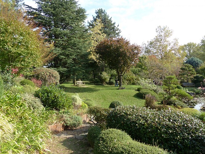 Erik Borja's zen garden