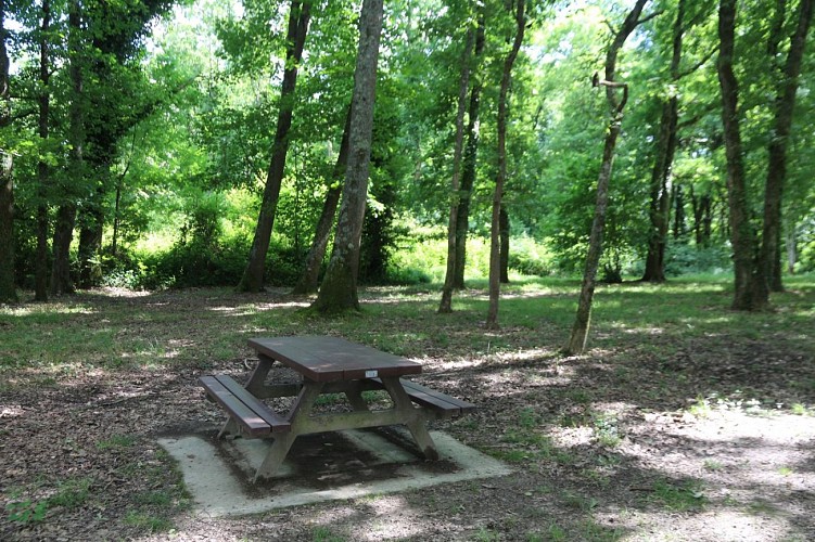 Aire de pique nique Ramiers - Lescar