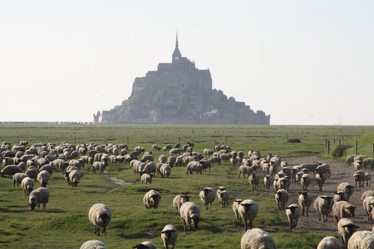 Gîtes de France G291