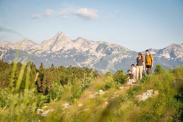 Belvédère Château Julien