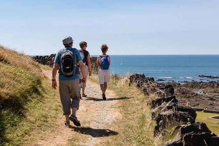 Gîtes de France G9314 : Village Clairefontaine n°14