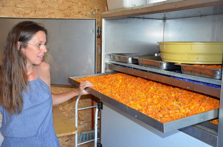 Table de l'Amante verte - Sixt sur Aff